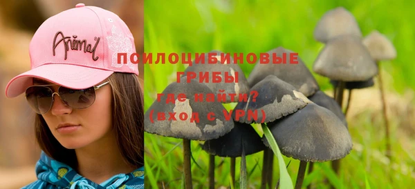 стафф Абдулино
