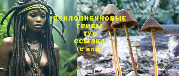 герыч Осинники
